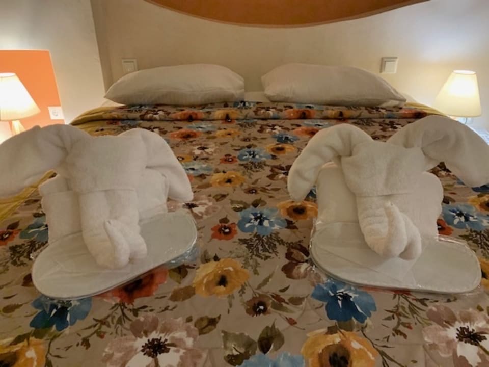 Zimmer Hotel Ocean Beach