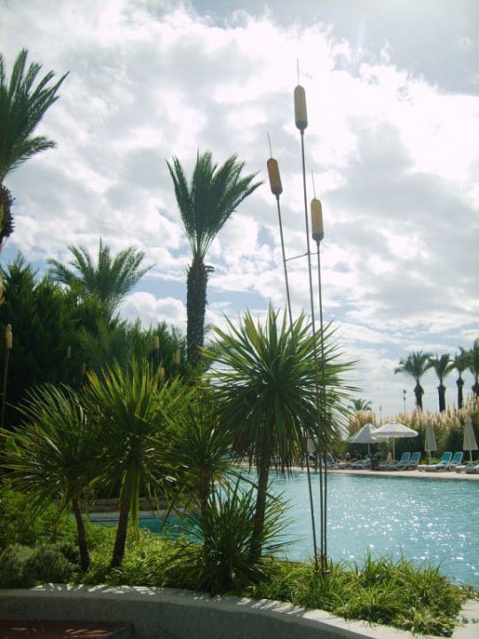  Blick über die Poollandschaft  PALOMA Perissia