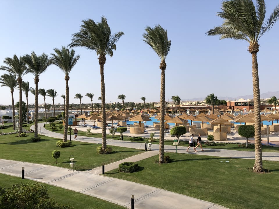 Pool SUNRISE Royal Makadi Resort