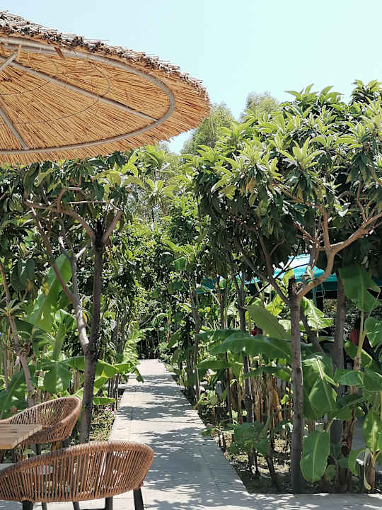 Gartenanlage Irene Palace Beach Resort Club alltoura