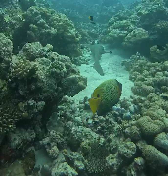 Sonstiges Summer Island Maldives