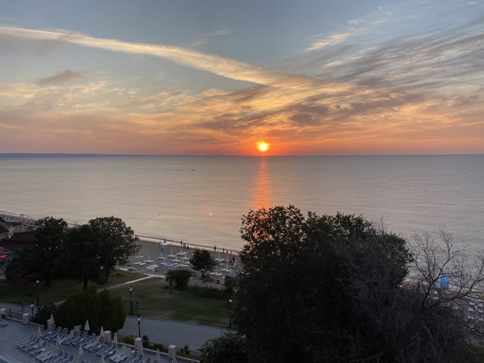 Ausblick GRIFID Vistamar