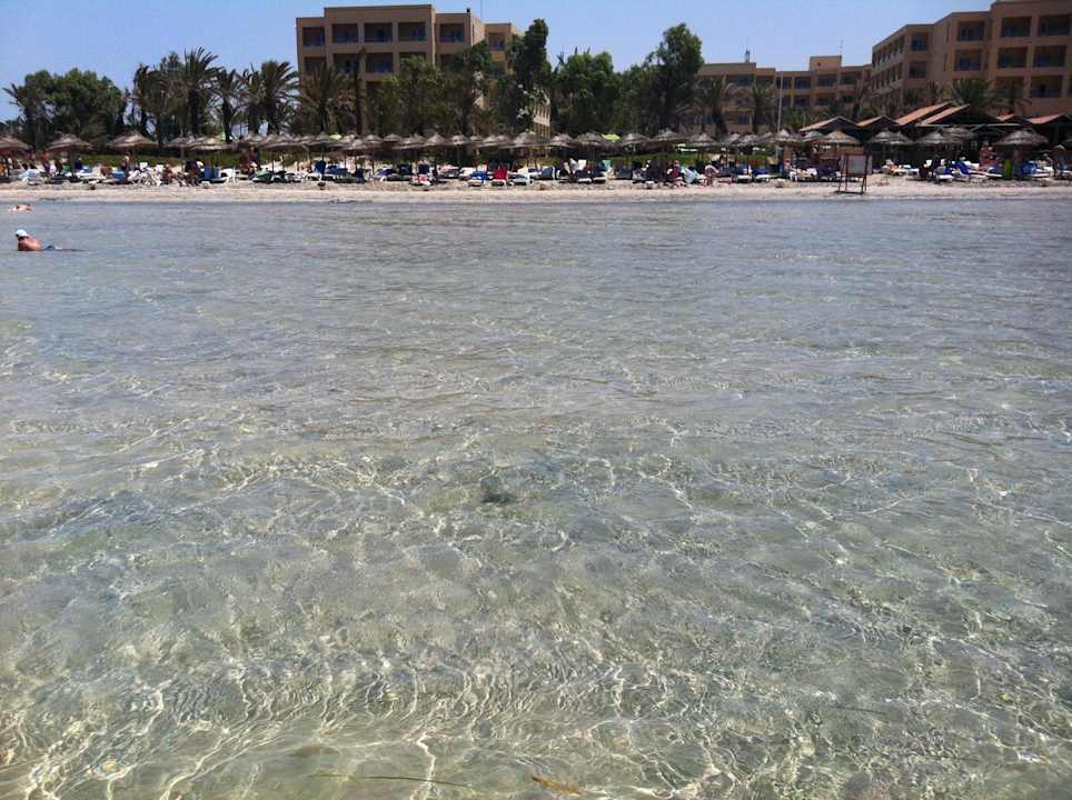 Blick auf den Strand Hotel Rosa Beach