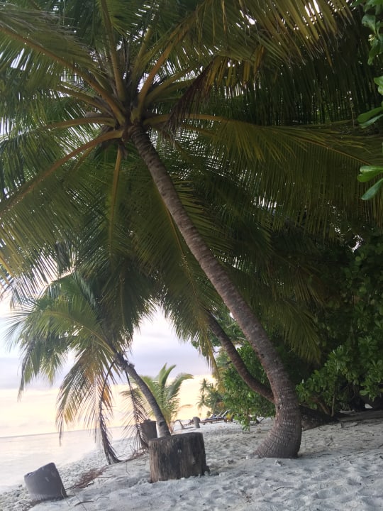 Strand Filitheyo Island Resort