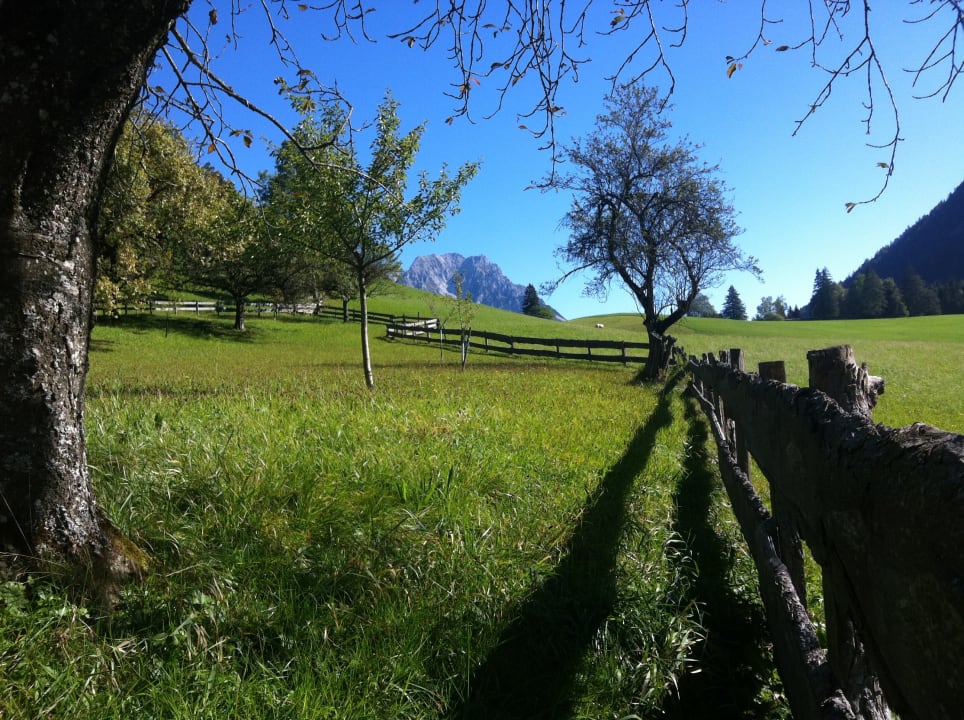 Sonstiges Pension-Biobauernhof Hagenhof