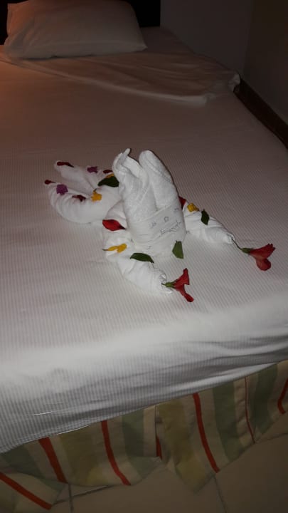 Zimmer Serenity Alpha Beach