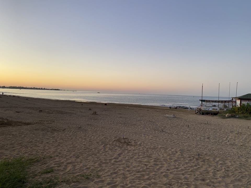 Strand Arum Barut Collection