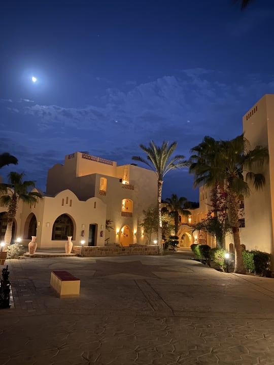 Sonstiges Steigenberger Coraya Beach - Adults only