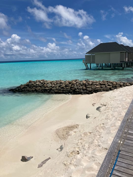 Strand Summer Island Maldives