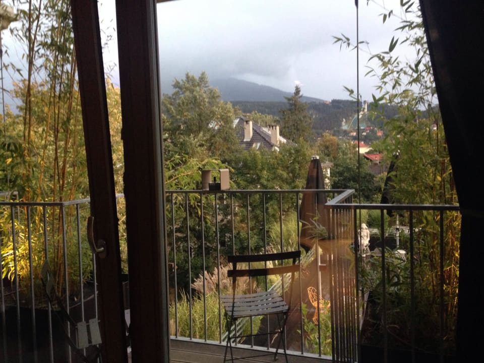 Berg Isel - Blick Nala individuellhotel