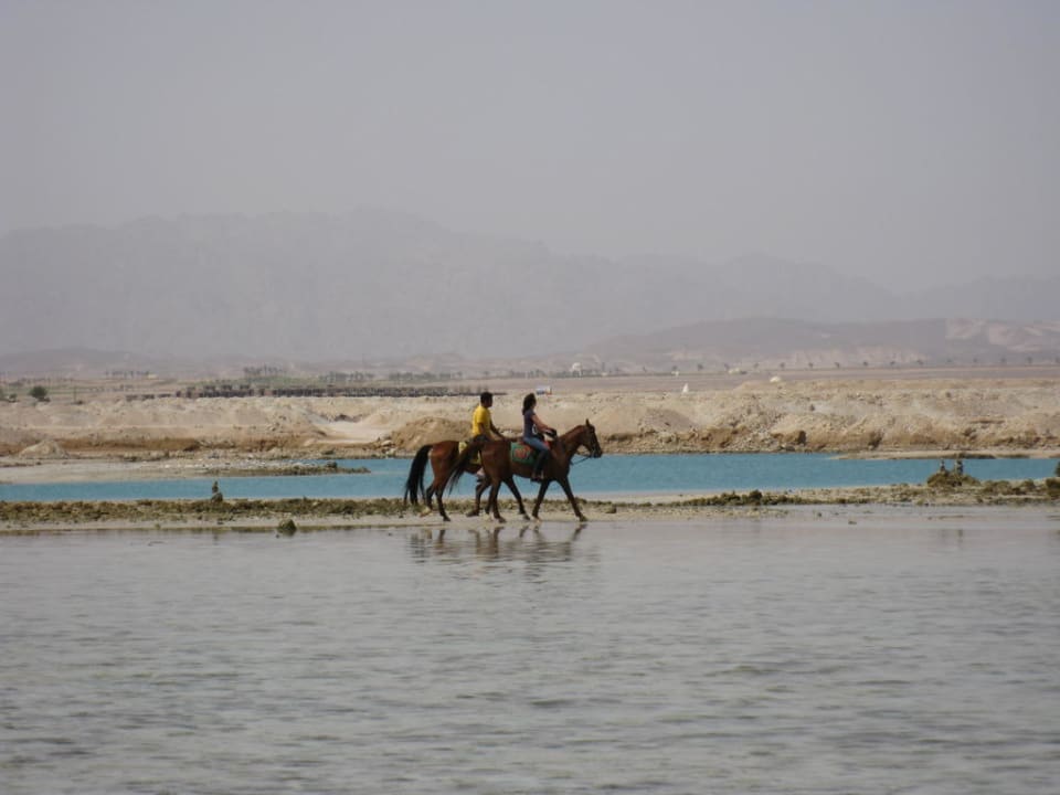 Reiter am Strand Grand Makadi