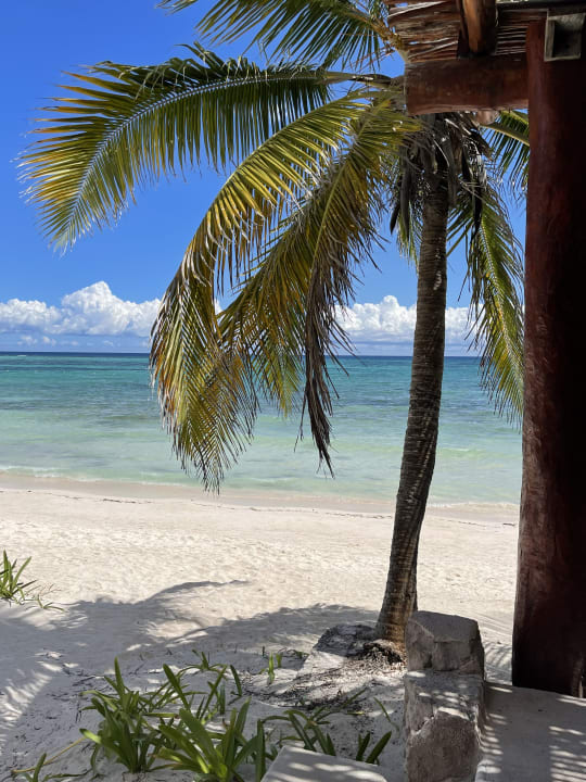 Strand Akumal Bay Beach & Wellness Resort