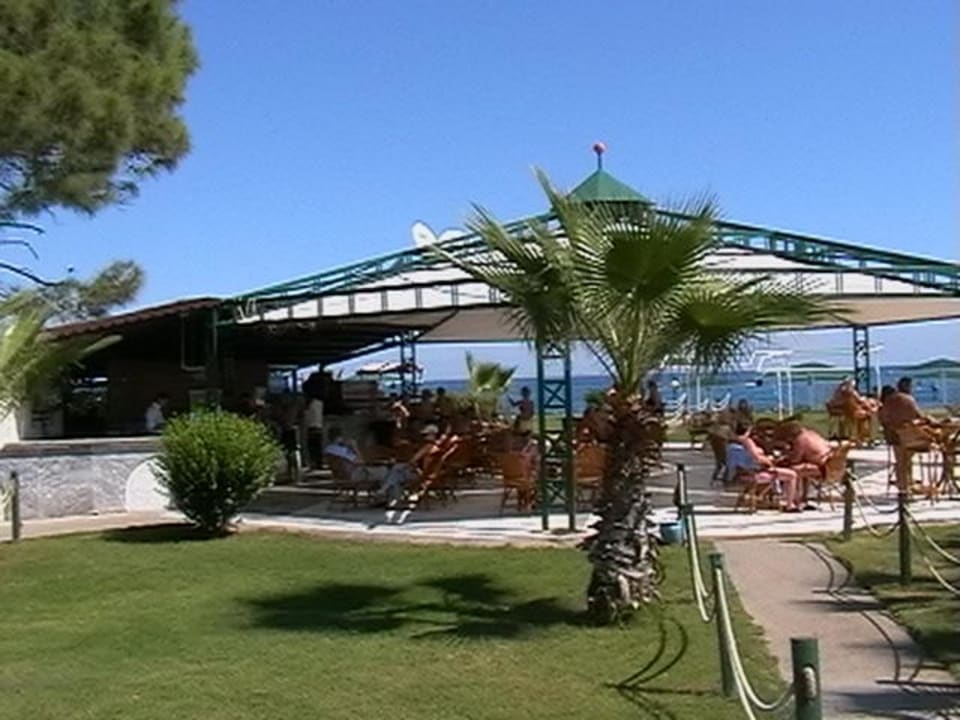 Drink und Snakbar Crystal Flora Beach Resort