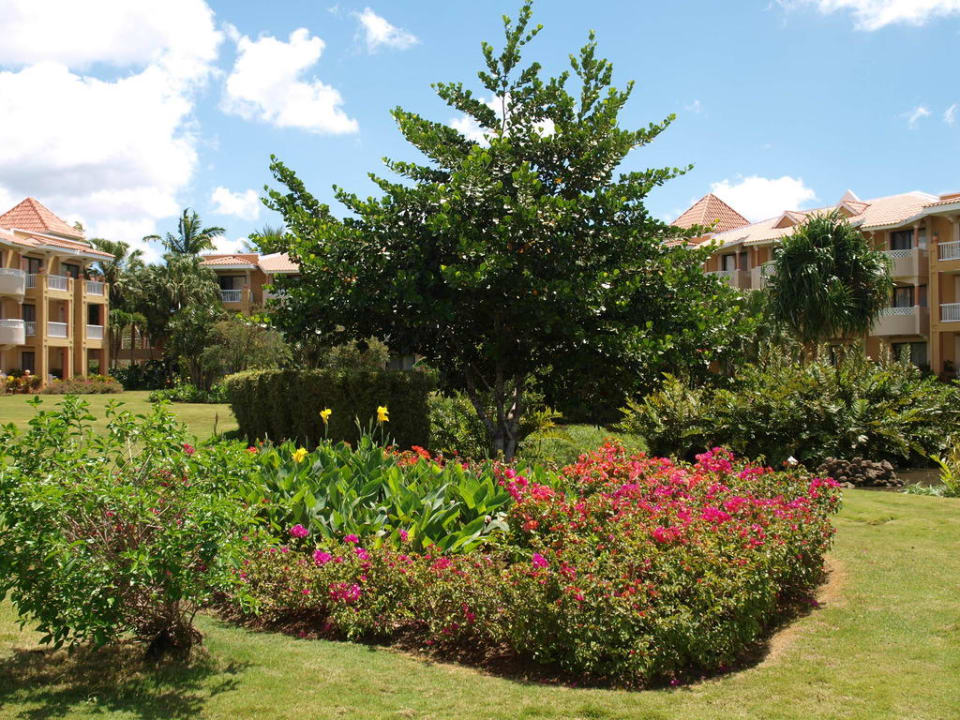 Garten, um den sich die Zimmerblocks gruppieren Hotel Viva Dominicus Palace by Wyndham-All Inclusive Resort
