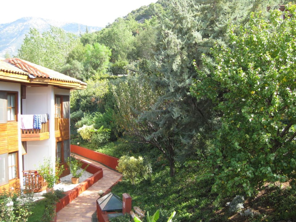 Zugangsweg zu den Zimmern Montana Pine Resort