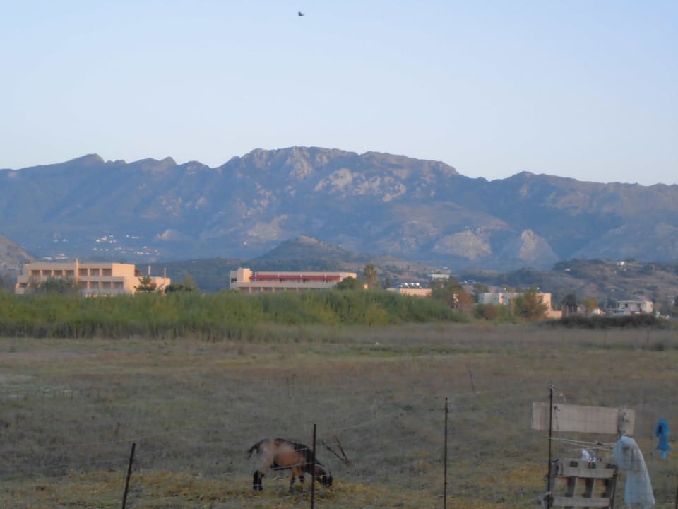 Bergblick von Zimmereingang Hotel Esperia