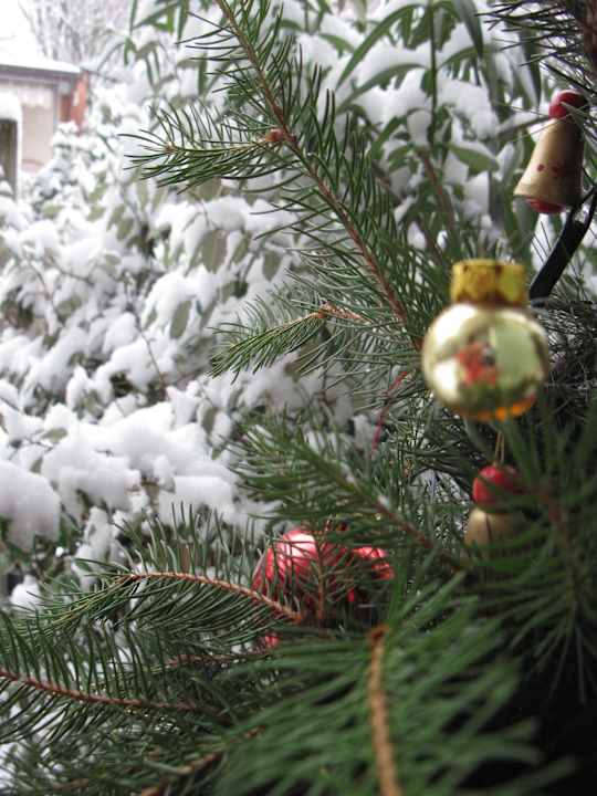 Inverno B&B Dorotina