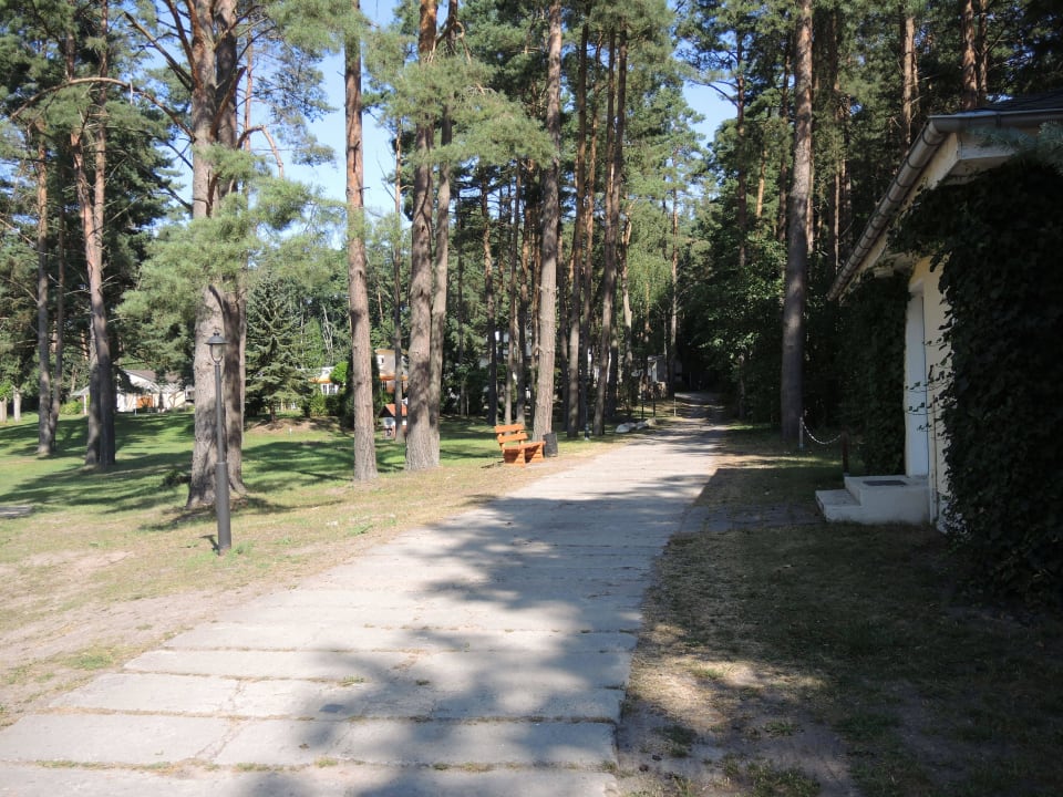 Gartenimpression Inselhotel Brückentinsee