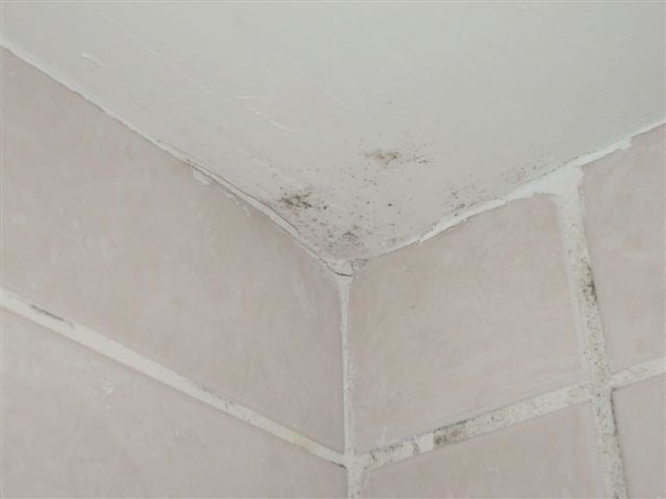 Schimmel! Botanik Hotel & Resort