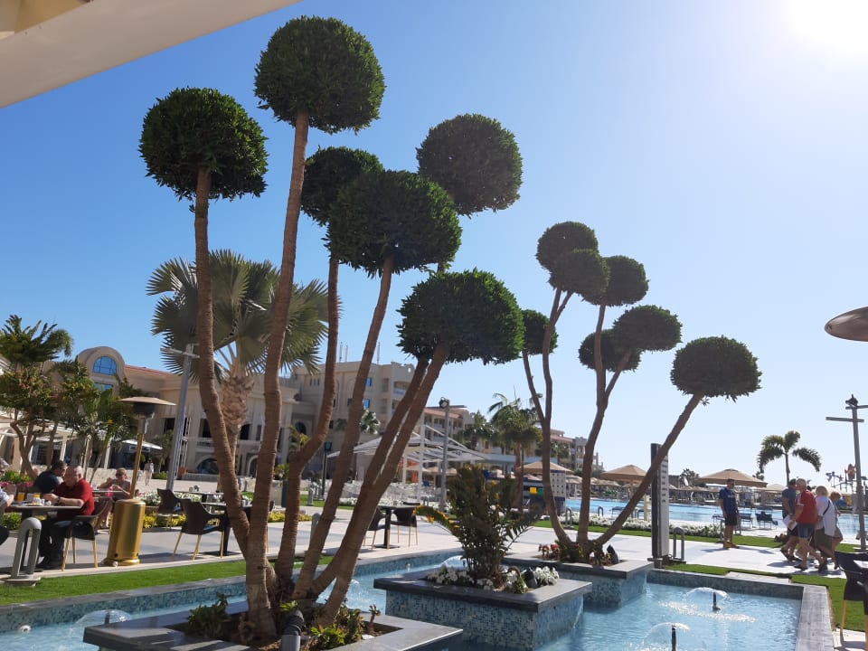 Pool Pickalbatros White Beach Resort - Hurghada