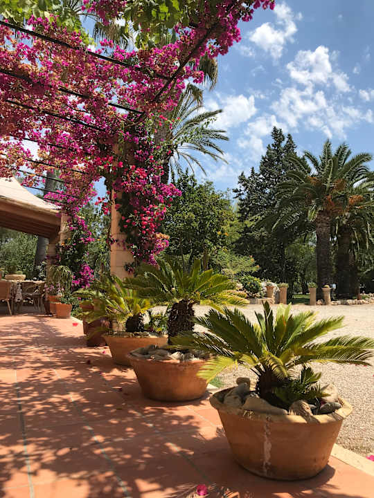 Gartenanlage Finca Ses Sitjoles