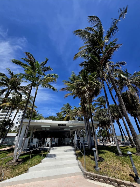 Gartenanlage Hotel Riu Plaza Miami Beach