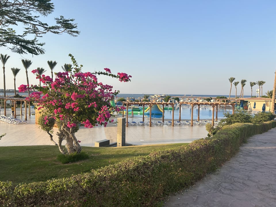 Pool Cleopatra Luxury Resort Makadi Bay