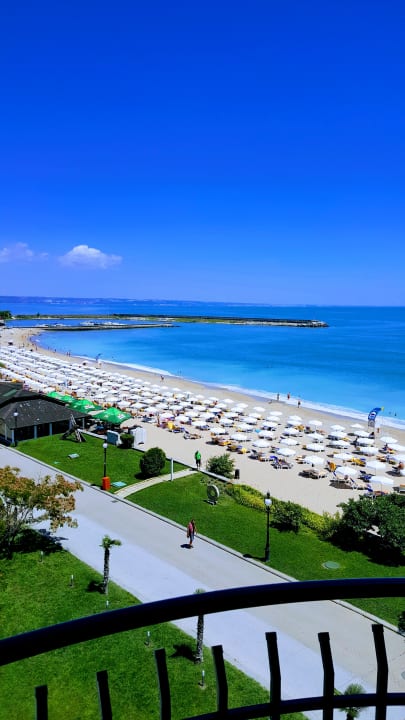 Zimmer Sentido Marea