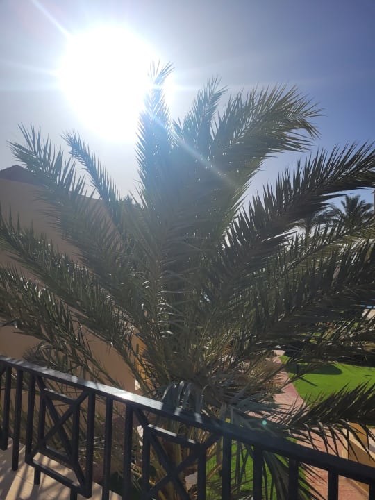 Ausblick Cleopatra Luxury Resort Makadi Bay