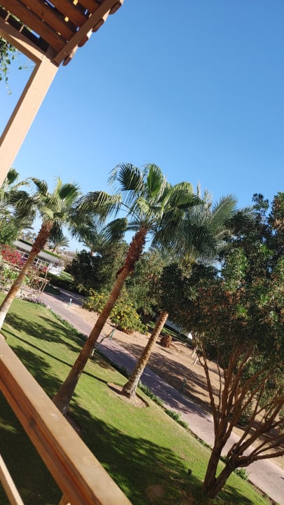 Ausblick Desert Rose