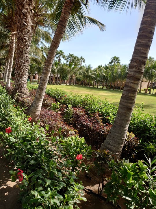 Gartenanlage Hotel Riu Cabo Verde