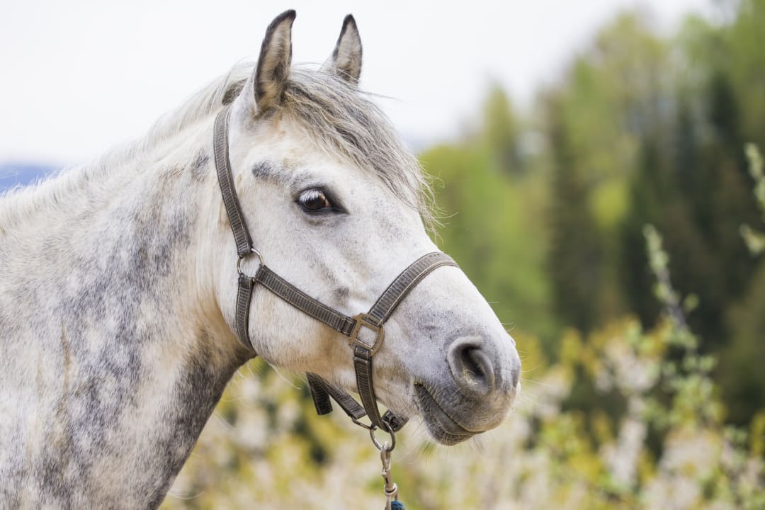 Sport & Freizeit Biobauernhof Kurzeck