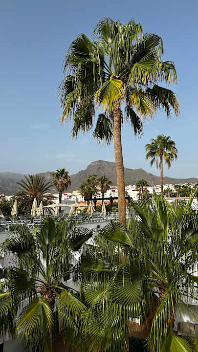 Ausblick allsun Hotel Los Hibiscos