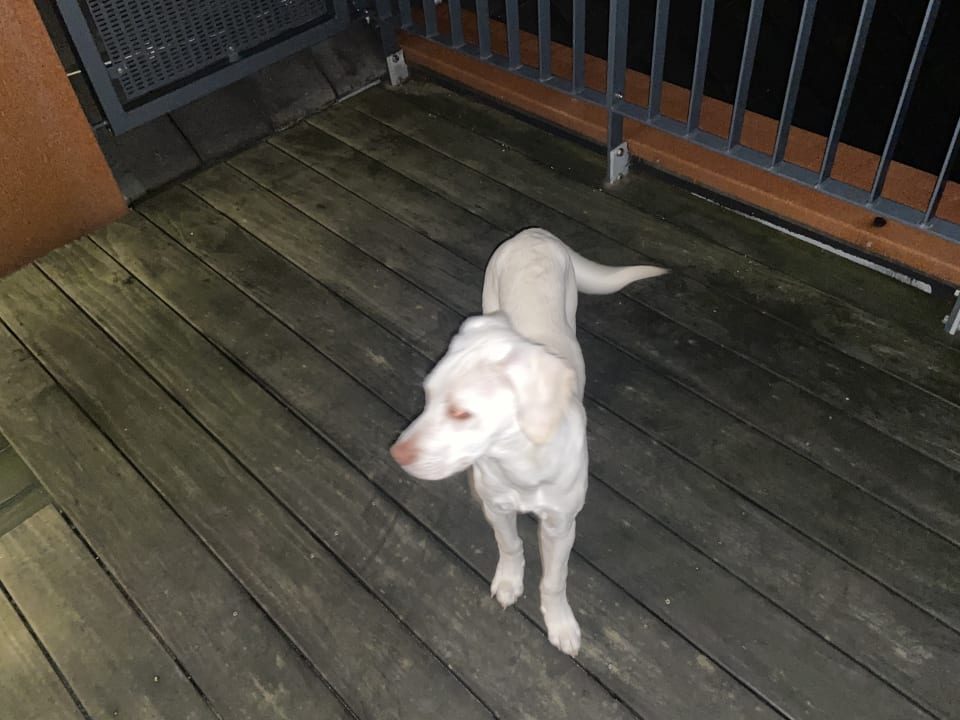 Gartenanlage Fliegerdeich Hotel & Restaurant