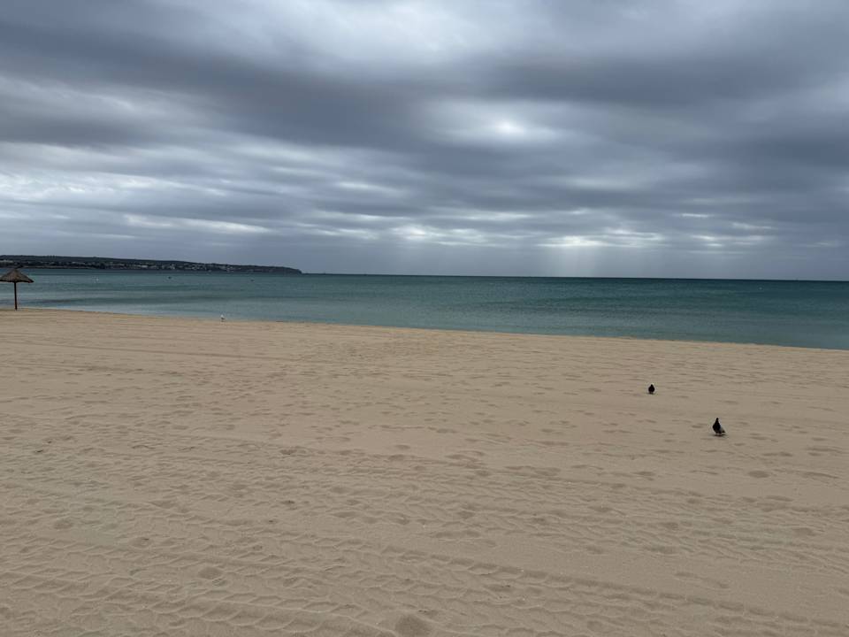 Strand Iberostar Waves Bahia de Palma
