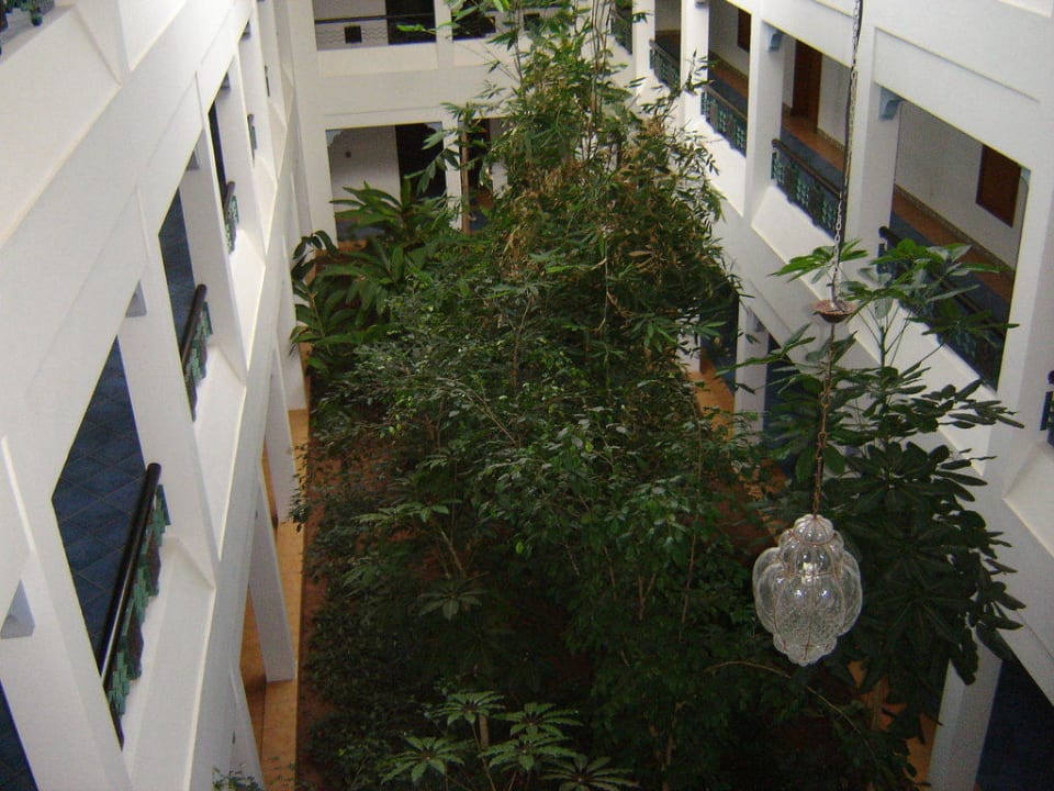 Bepflanzter Innenhof Iberostar Waves Founty Beach