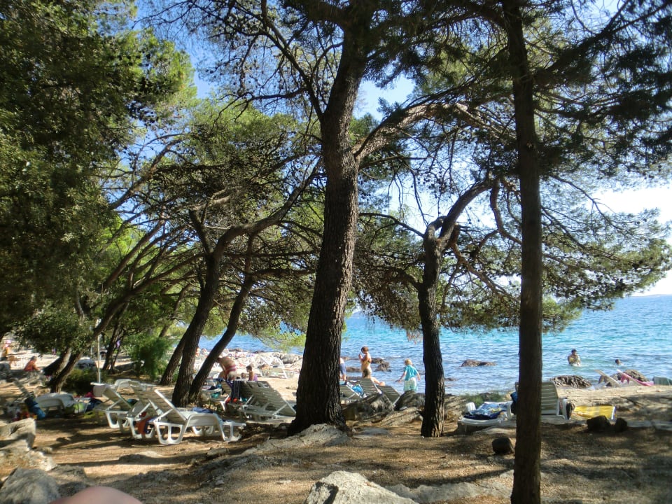 Schöne Aussicht Pine Beach Pakostane