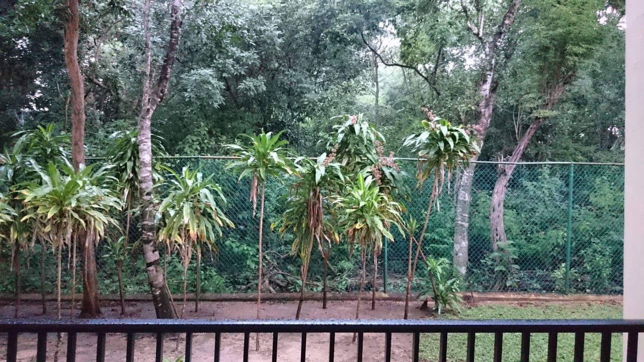 Ausblick Hotel Riu Tequila