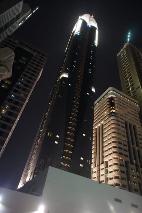 Роза ночью Rose Rayhaan by Rotana