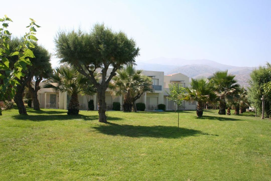 Garten des Hotels Kretan Malia Park Phãea Cretan Malia