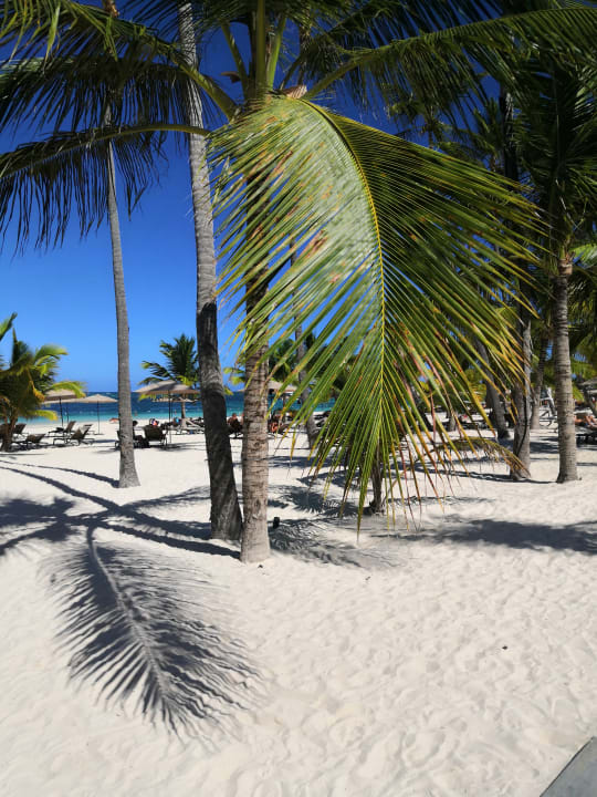 Strand Lopesan Costa Bávaro Resort, Spa & Casino