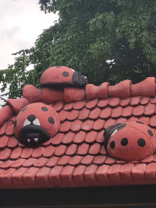 Ausblick Heide Park Abenteuerhotel