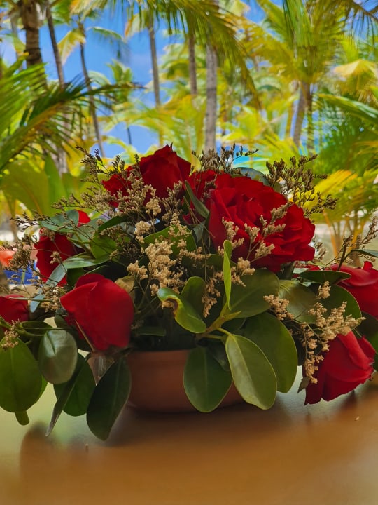 Gartenanlage Hotel Riu Palace Punta Cana