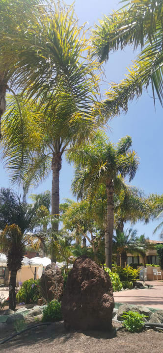 Gartenanlage allsun Hotel Esplendido