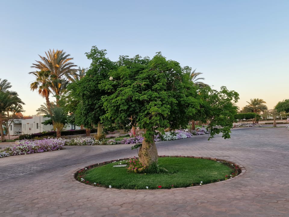 Gartenanlage Pharaoh Azur Resort