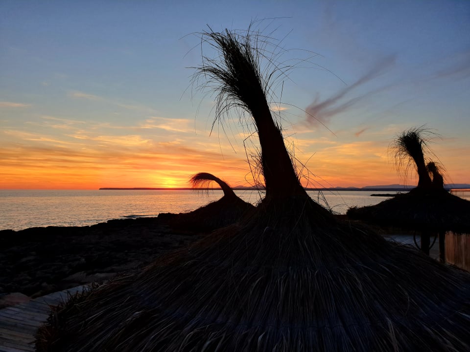 Strand Universal Hotel Cabo Blanco - Adults Only