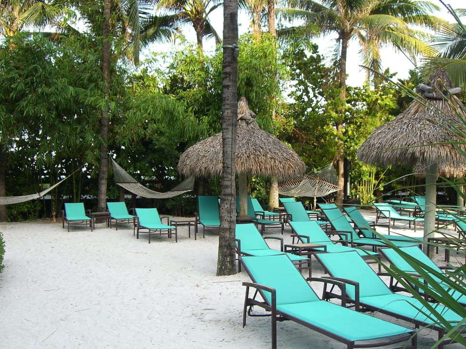 Poolbereich The Palms Hotel & Spa