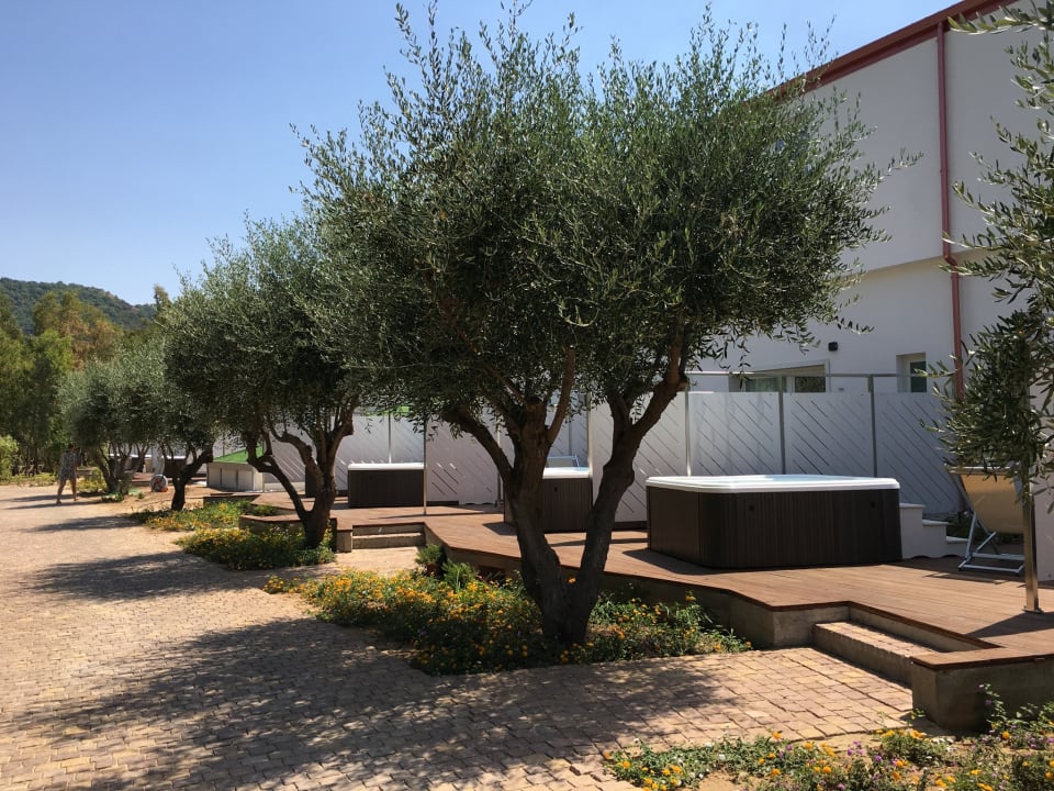 Zimmer TUI BLUE Tropea