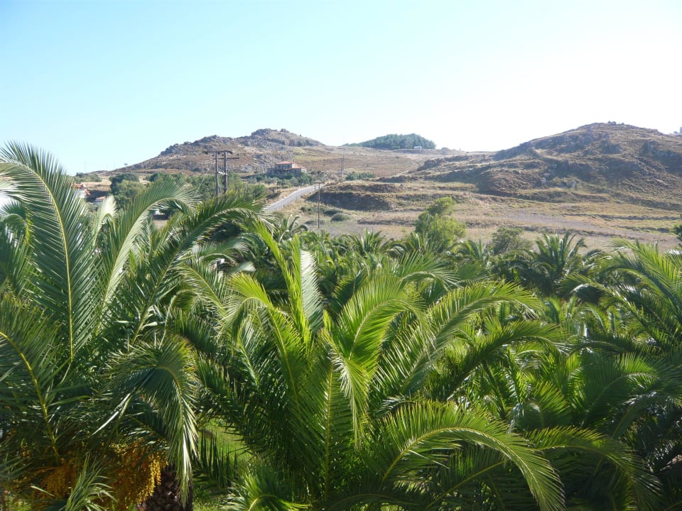 Blick Richtung Molivos Aphrodite Hotel