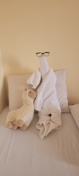 Zimmer Titanic Beach Spa & Aqua Park